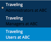 Dealing with multiple Access Groups in Pega